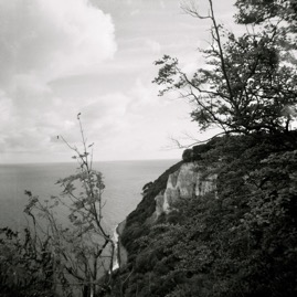 Victoria's View