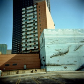 Dallas Downtown Whales 2