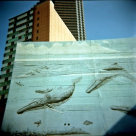 Dallas Downtown Whales