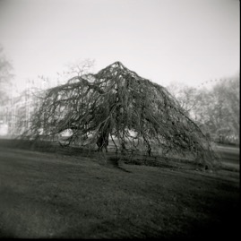 London 061