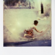 Polaroid 097