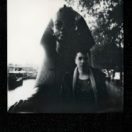Polaroids 424