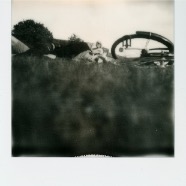 Polaroids 135