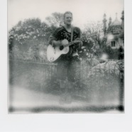 Polaroids 435