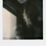 Polaroids 497