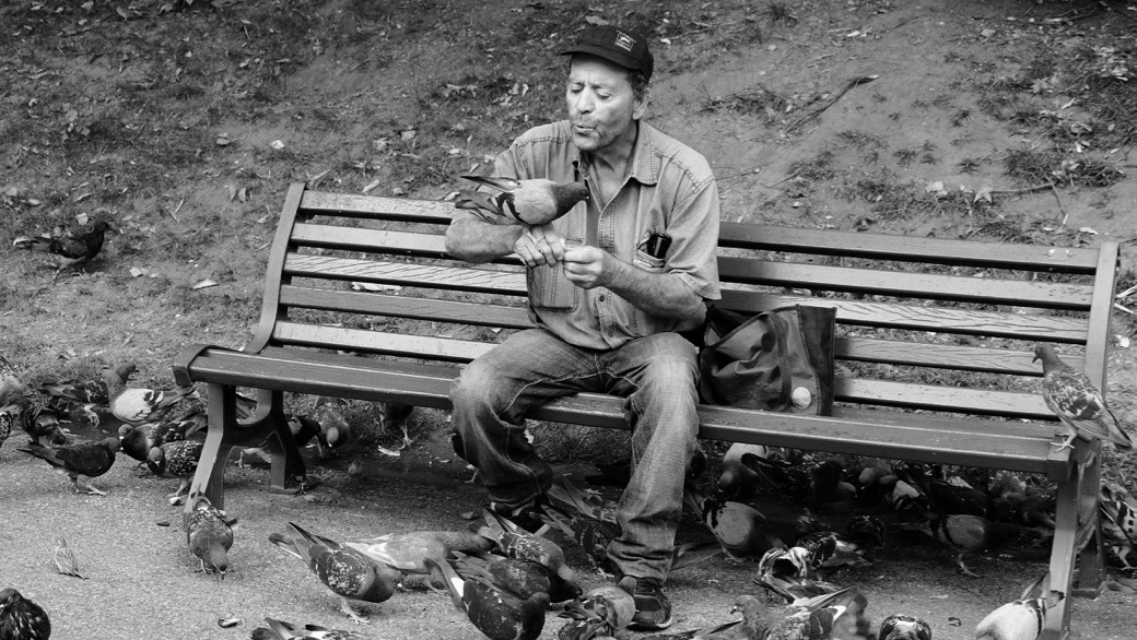 Le souffleur des pigeons / The Pigeon Whisperer