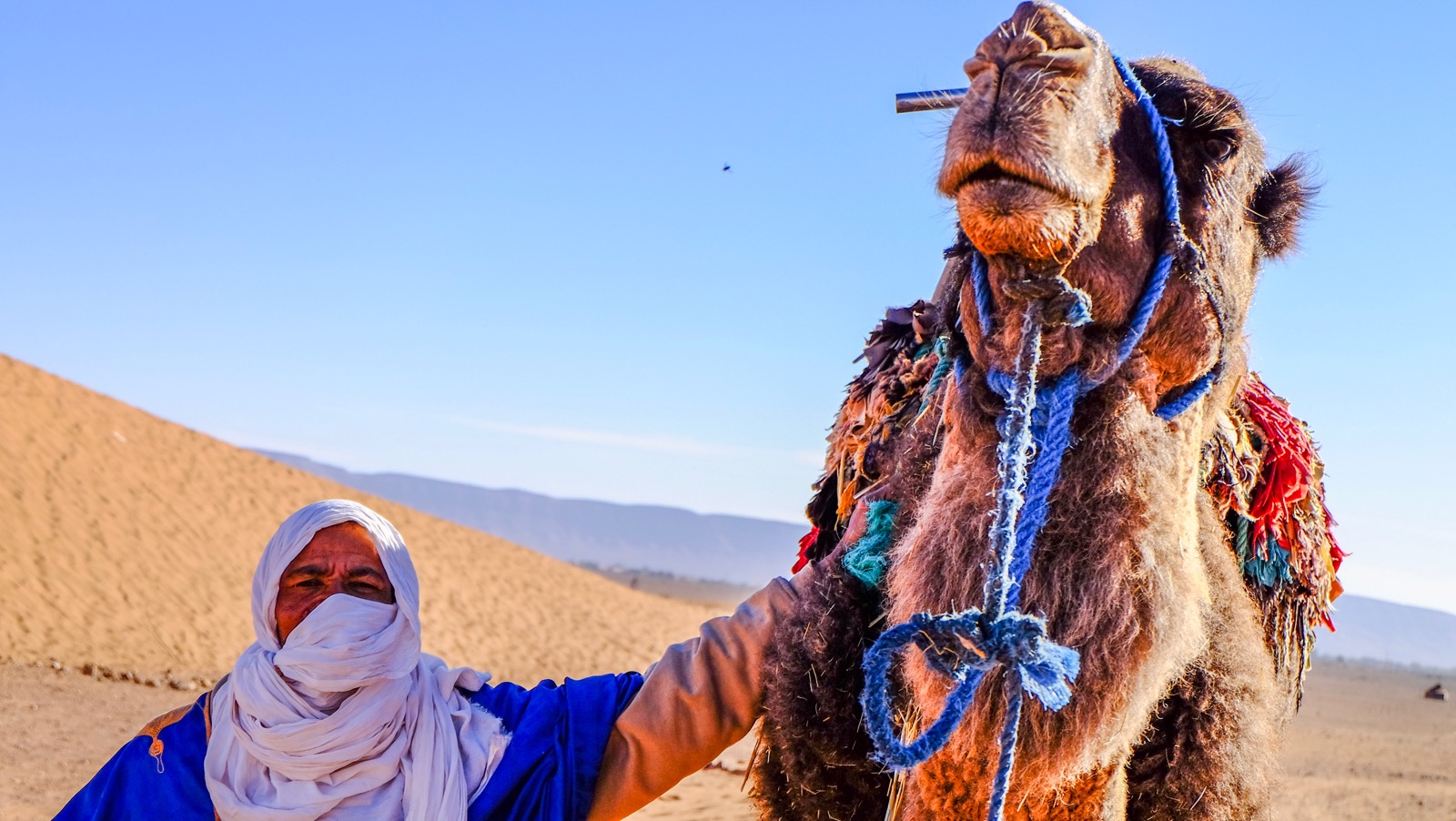 The Settled Nomad (Dr&acirc;a Valley)