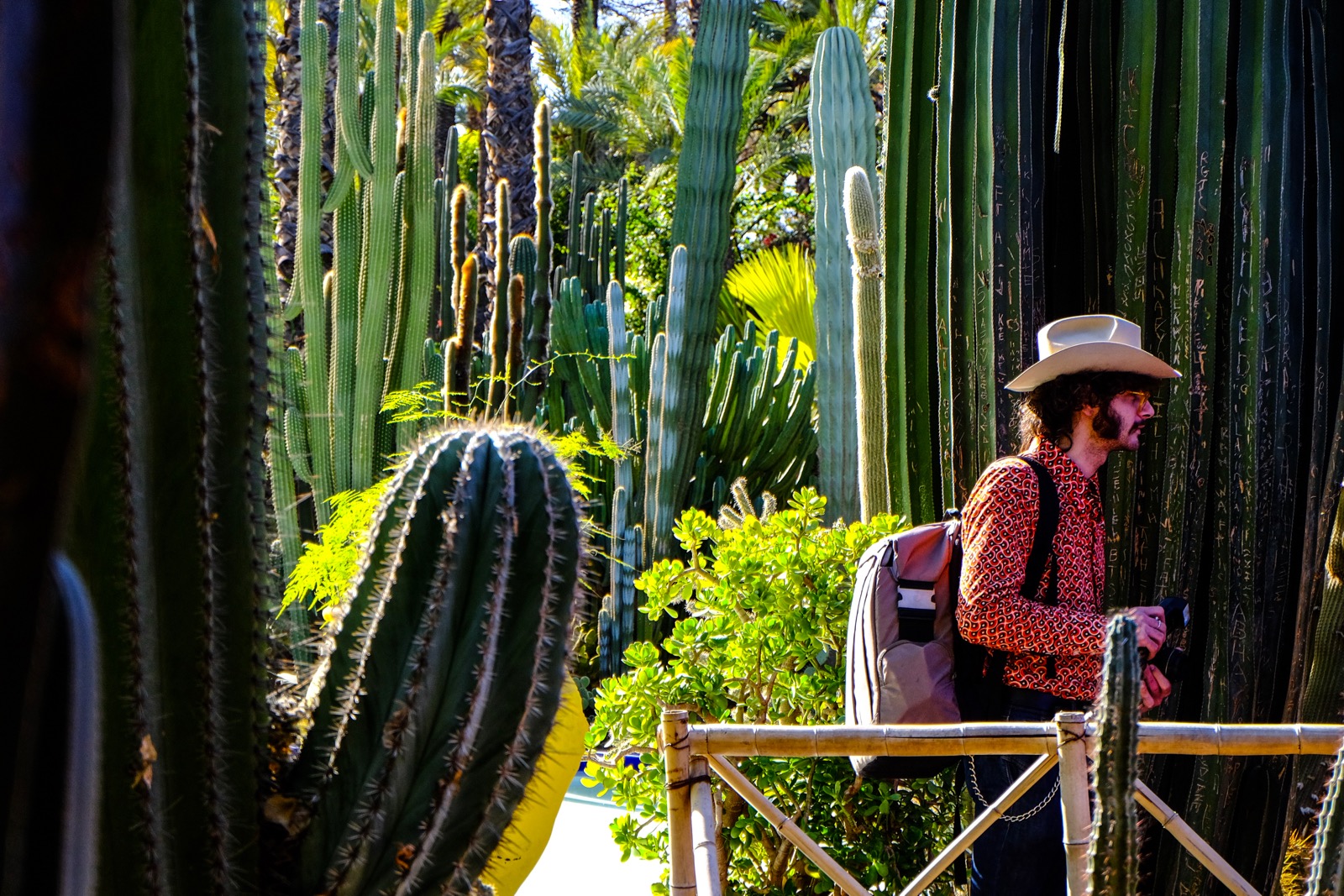 Lost in Time & Space (Majorelle Garden, Marrakesh)
