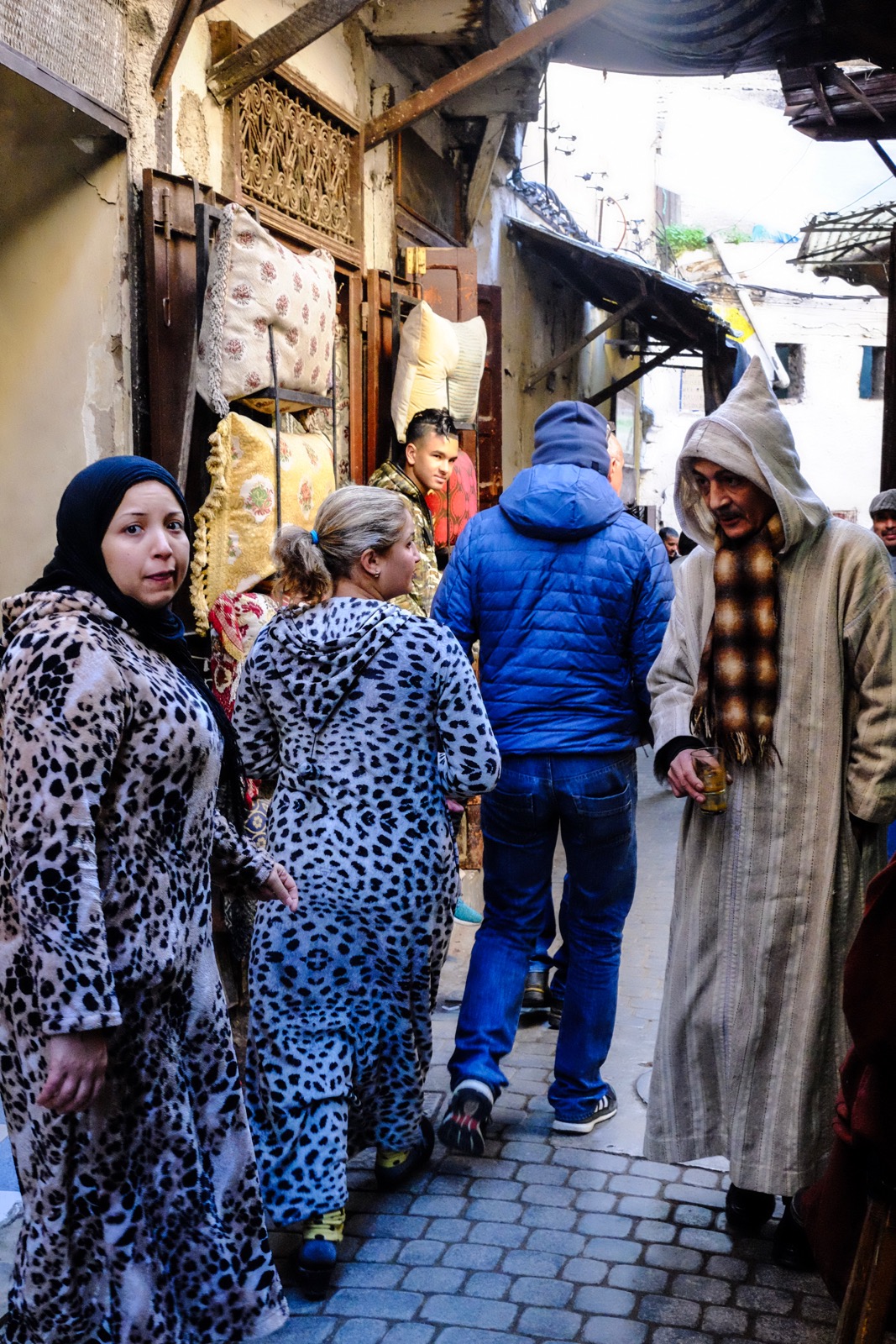 Feline Impressions (Fes)