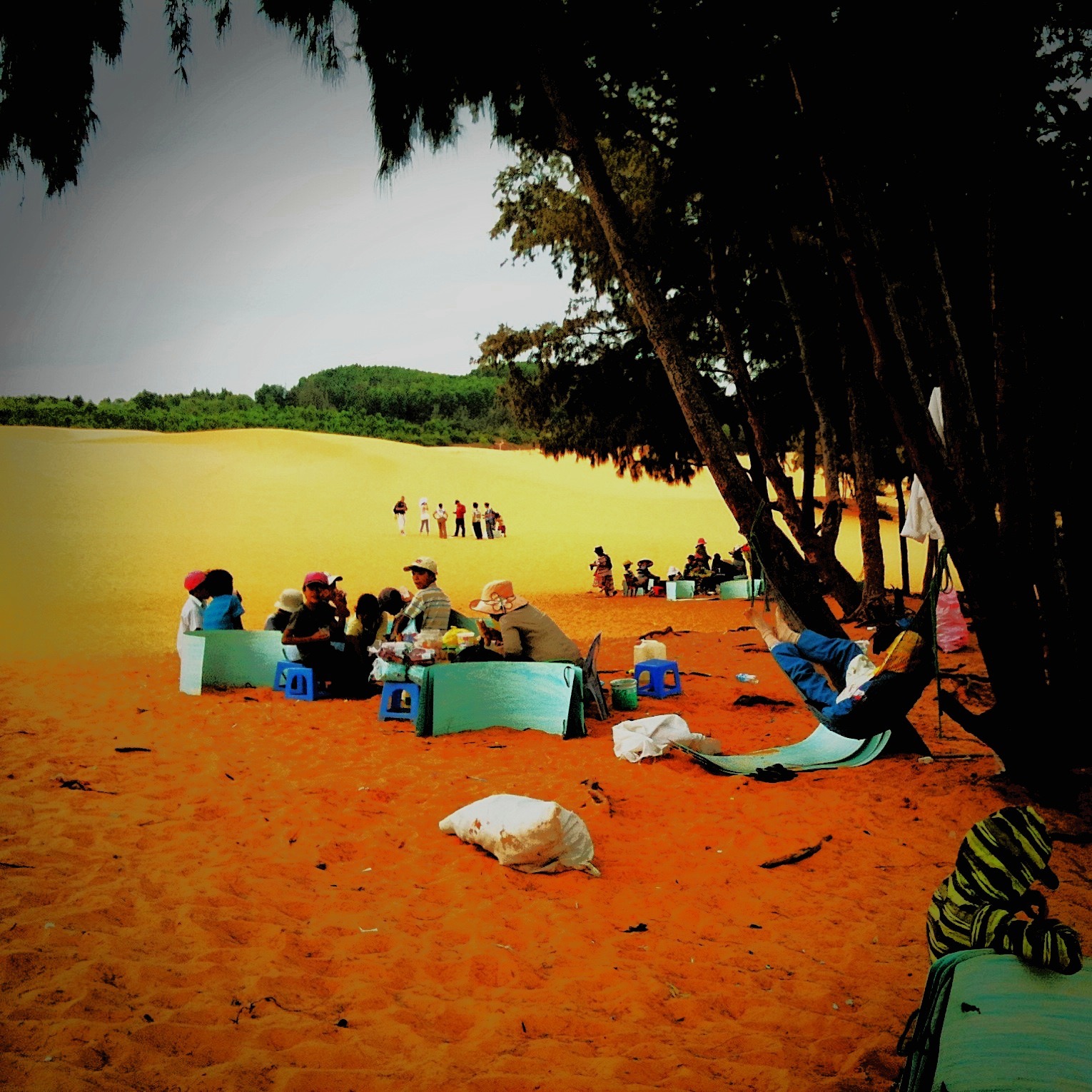 Life Under A Tree On a Red Beach. Mui Ne 2011