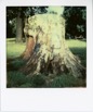 Polaroids  048.jpg