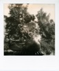 Polaroids 123.jpg