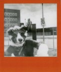 Polaroids 925