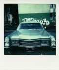 Polaroids 303