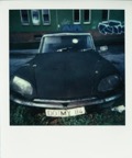 Polaroids 304