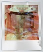 Polaroids 529