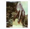 Polaroids 534