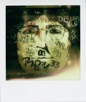 Polaroids 579