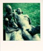 Polaroids 581
