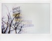 Instax Lomo  037.jpg