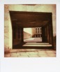 Polaroids 394