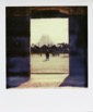 Polaroids 398