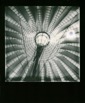 Polaroids 358