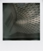 Polaroids 495