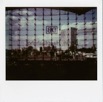 Polaroids 532