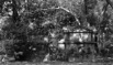 DSCF3488.jpg