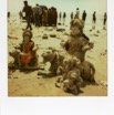 Polaroids 1018.jpg