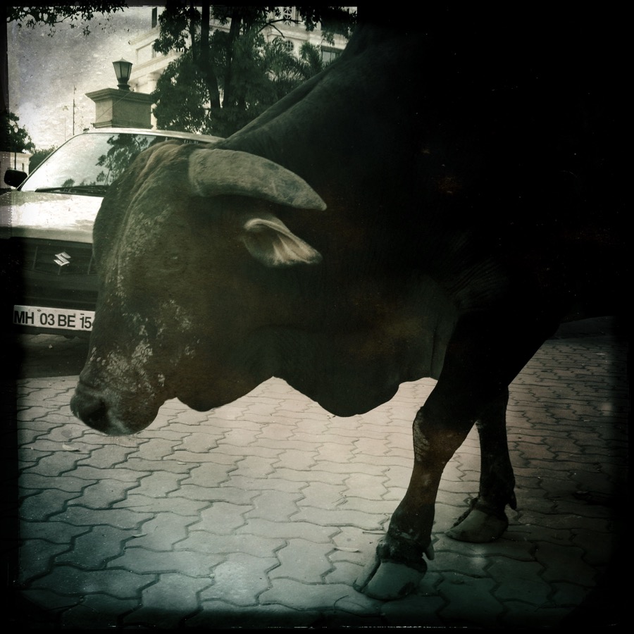 Powai