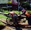 India 2014 Pan 010.jpg