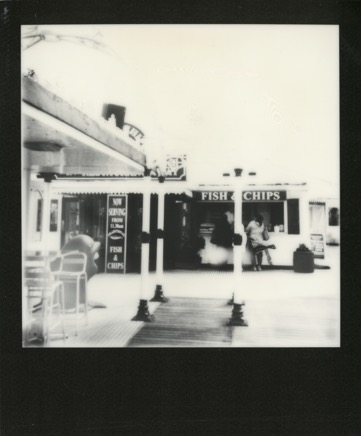 Polaroids 428