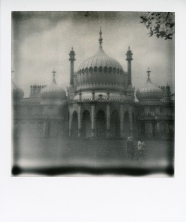 Polaroids 441