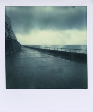 Polaroids 462