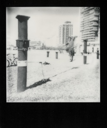 Polaroids 431