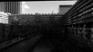 DSCF0574.JPG